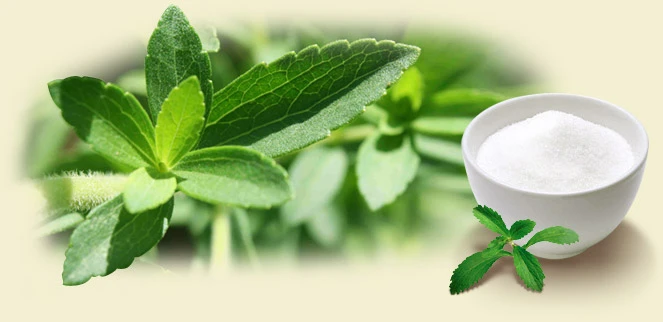 نامیاتی برازیل سٹیویا